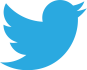 Twitter_bird_logo_2012.svg